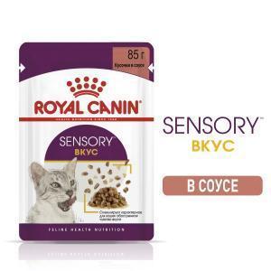 Royal Canin Sensory Taste Влажный корм для взрослых кошек, стимулирующий вкусовые рецепторы, кусочки в соусе
