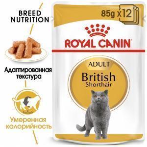 Влажный корм для кошек Royal Canin British Shorthair Adult